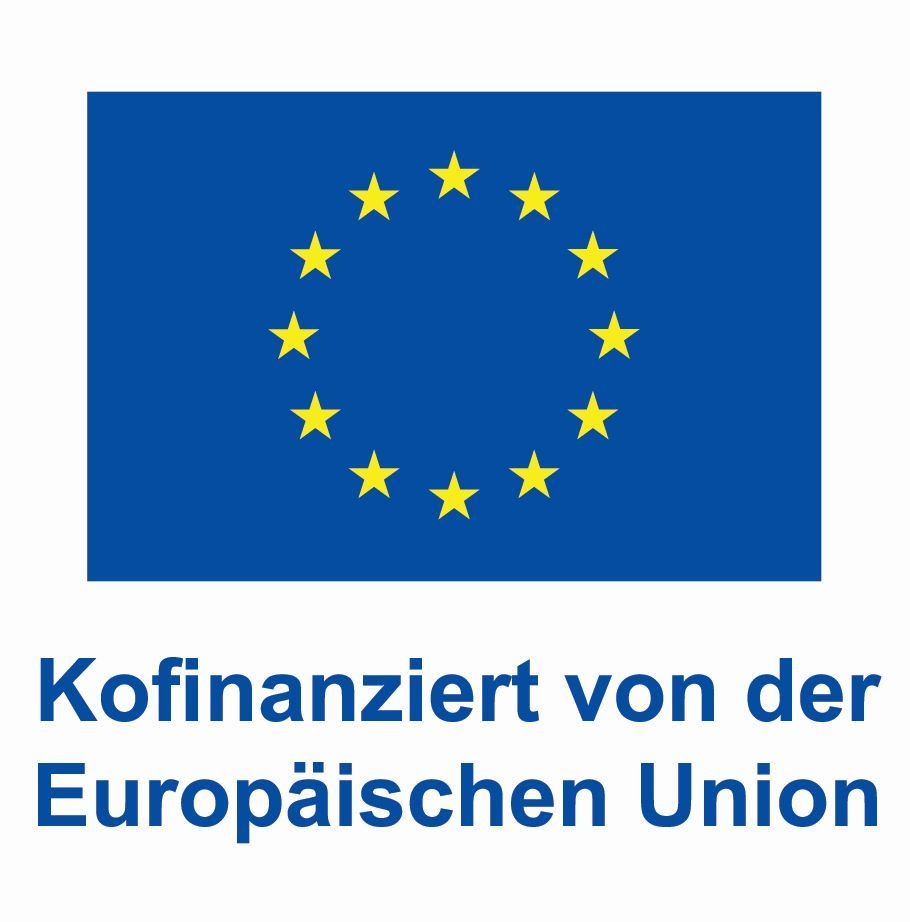 DE V Kofinanziert von der Europäischen Union POS (1) 3
